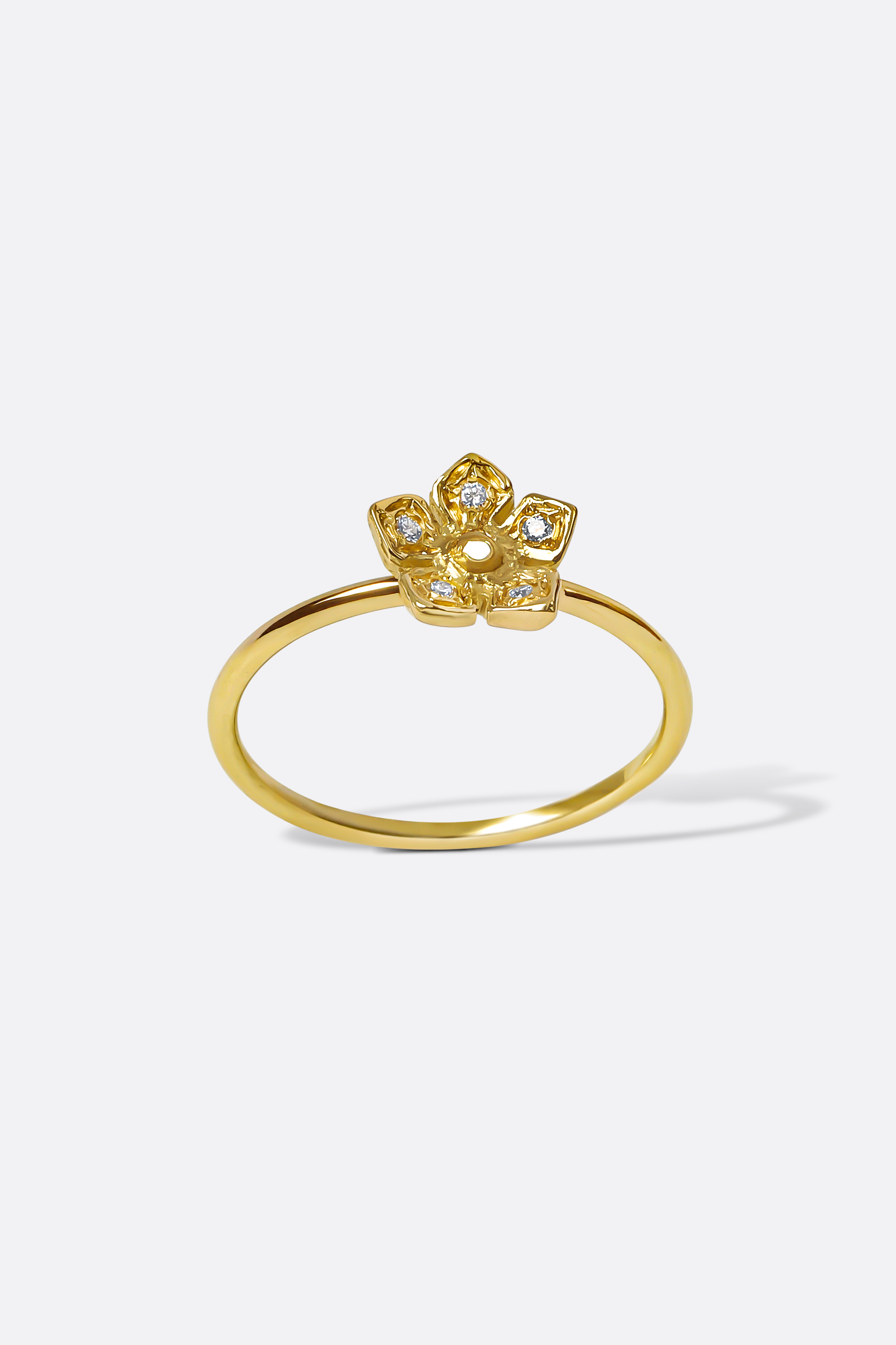BAGUE NINA Monsieur Paris