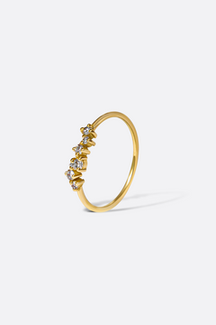 BAGUE ZOHRA Monsieur Paris