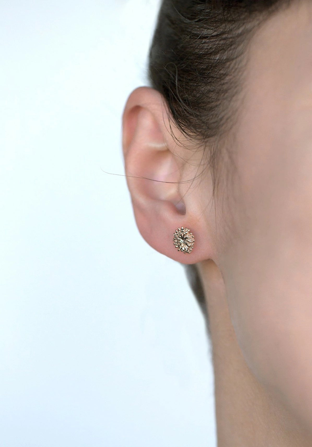 Tournesol - Monsieur Paris