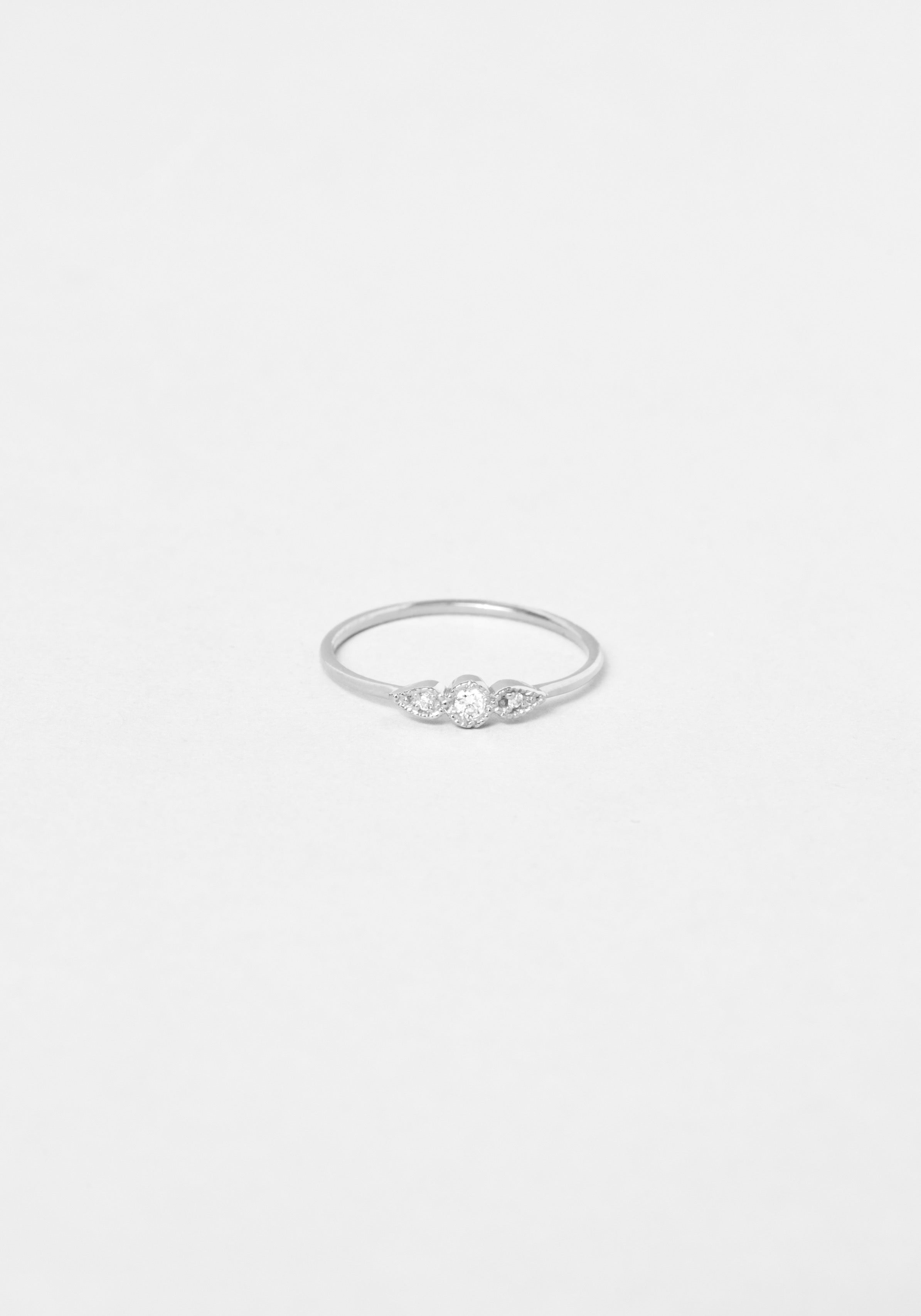 Auxane - Monsieur Paris