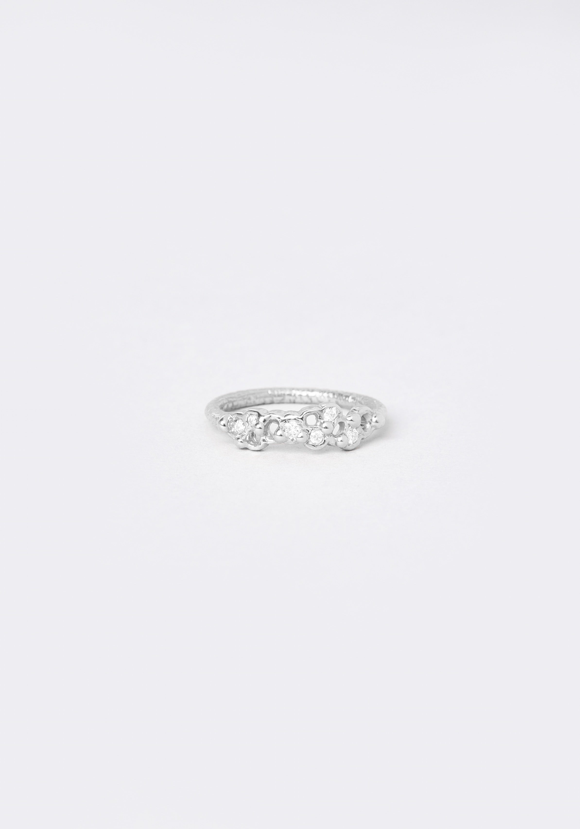 Dalina - Monsieur Paris