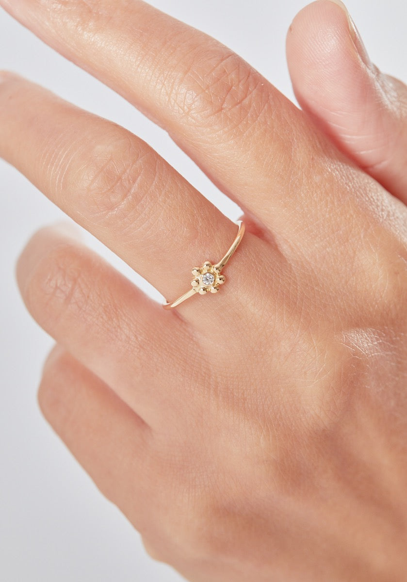 Rosa - Monsieur Paris