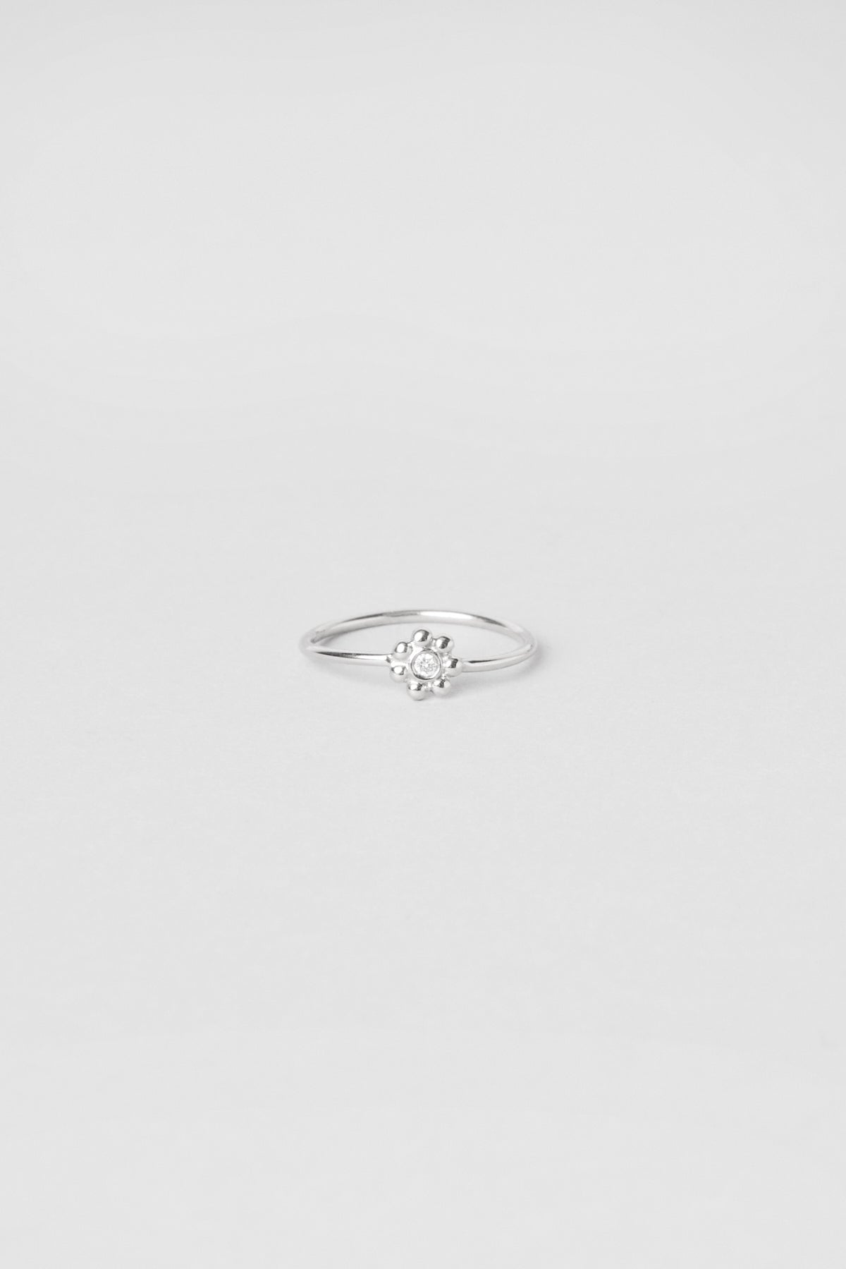 Rosa - Monsieur Paris