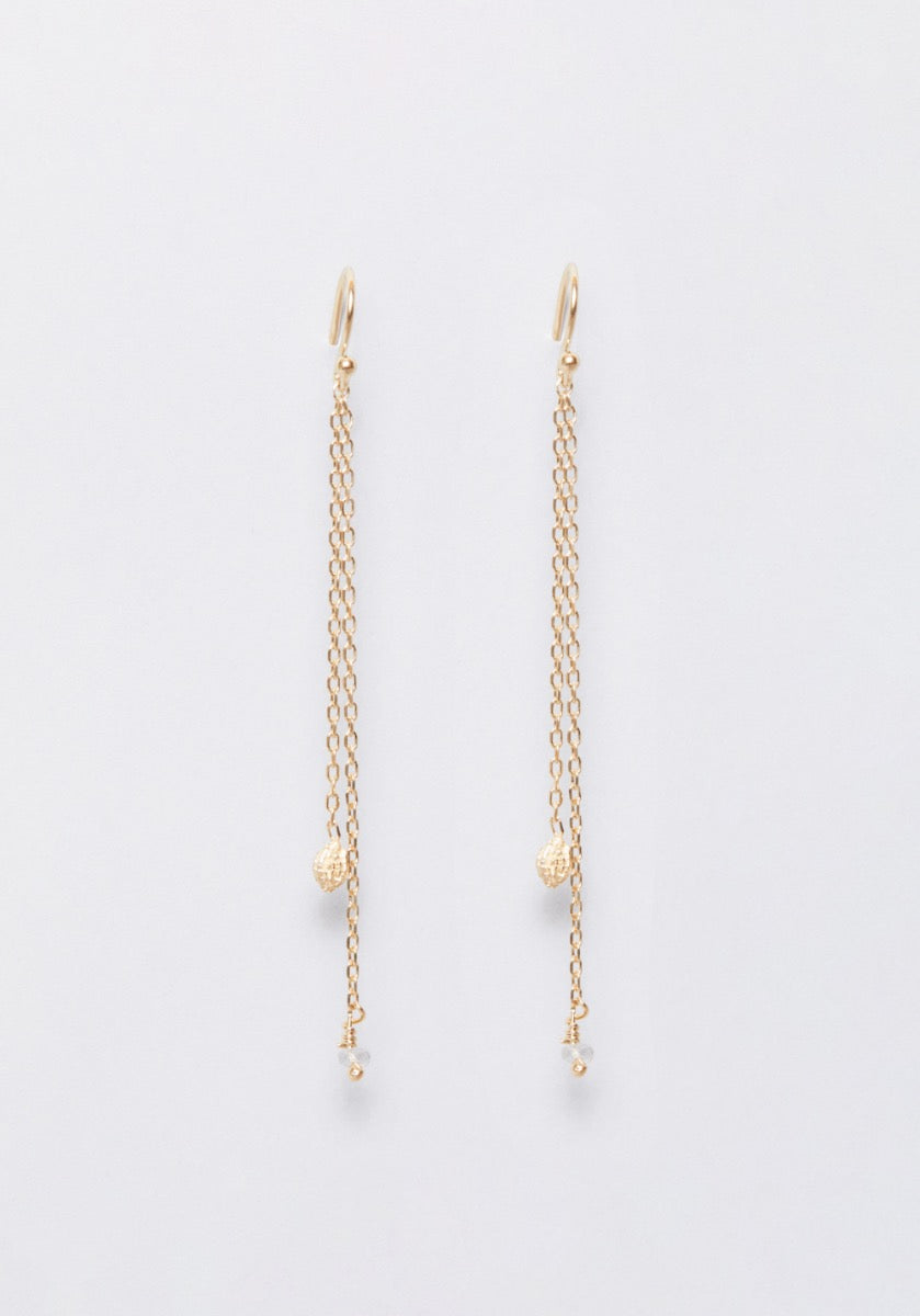 Papaya - Monsieur Paris