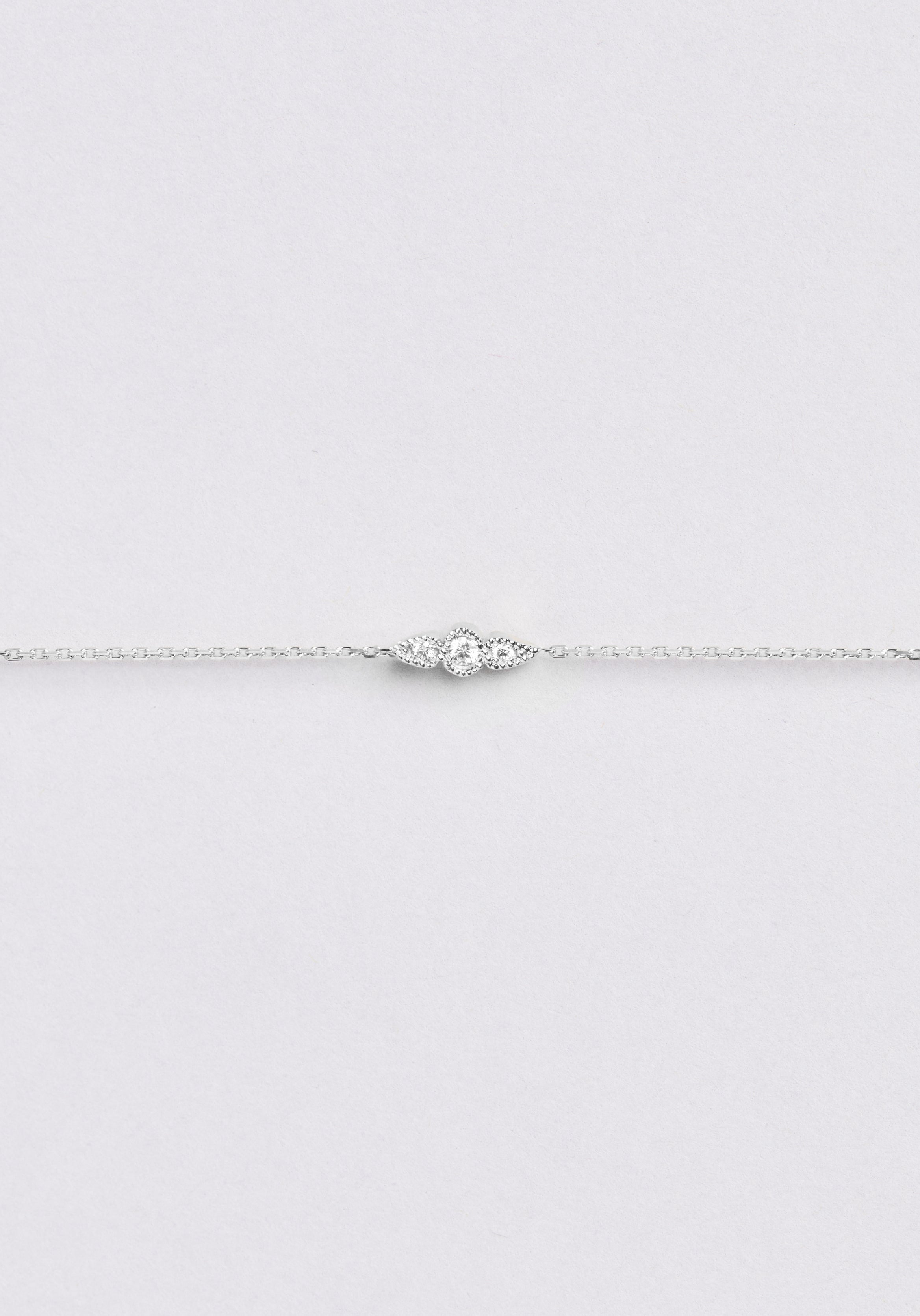 Auxane - Monsieur Paris