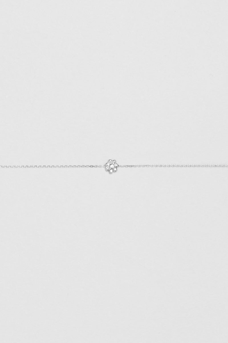 Rosa - Monsieur Paris