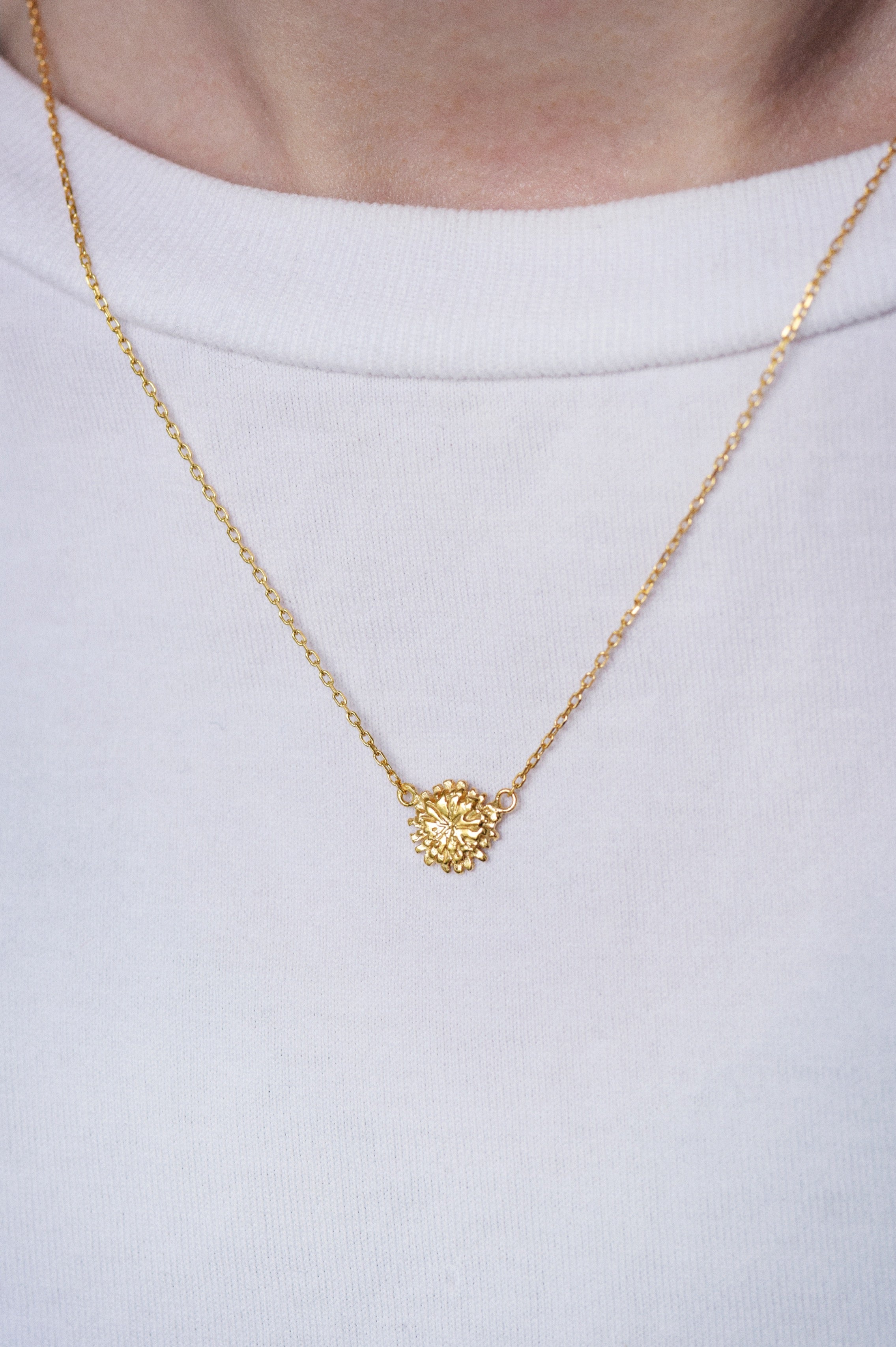 Tournesol - Monsieur Paris