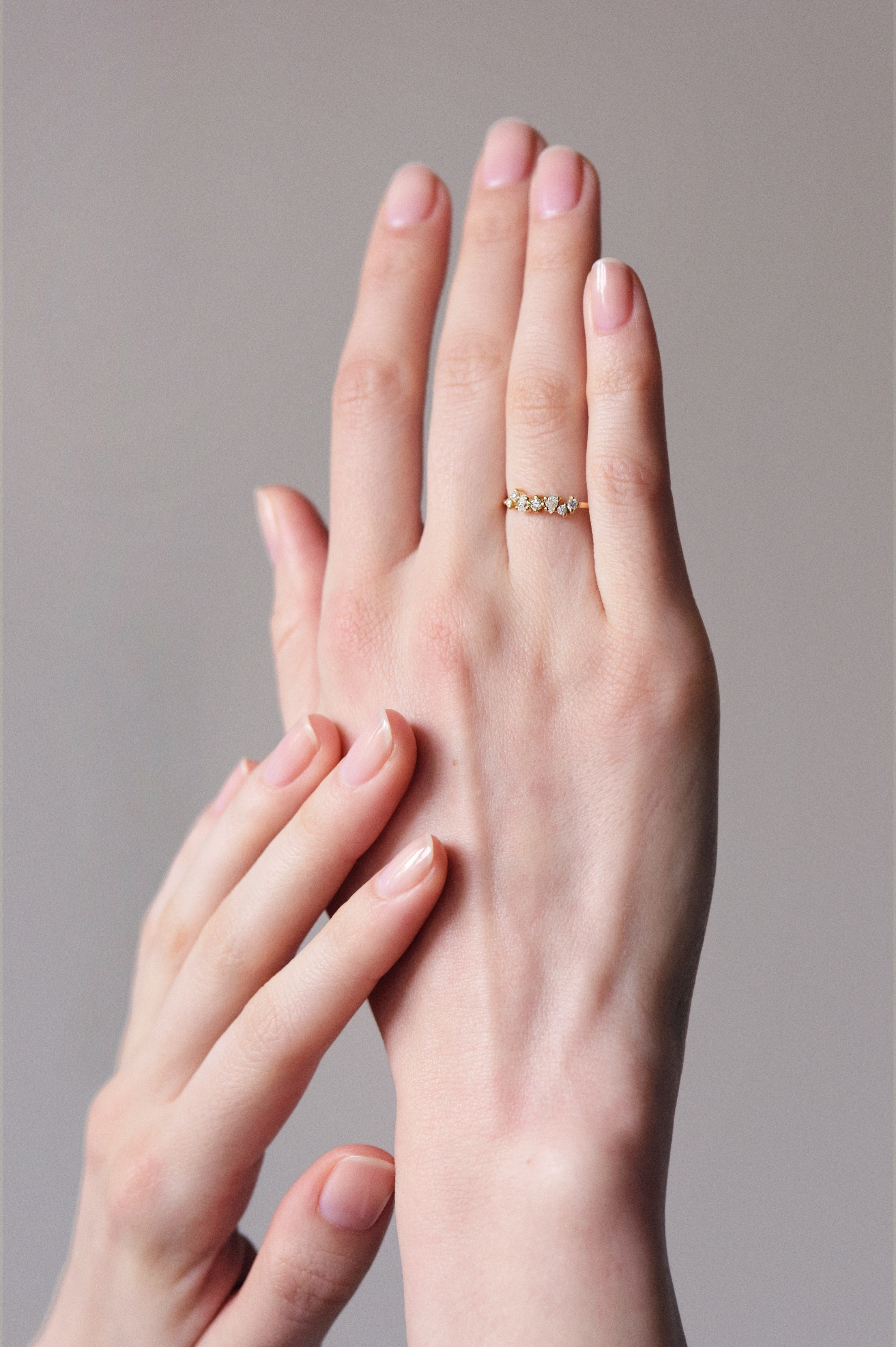 Rose - Monsieur Paris