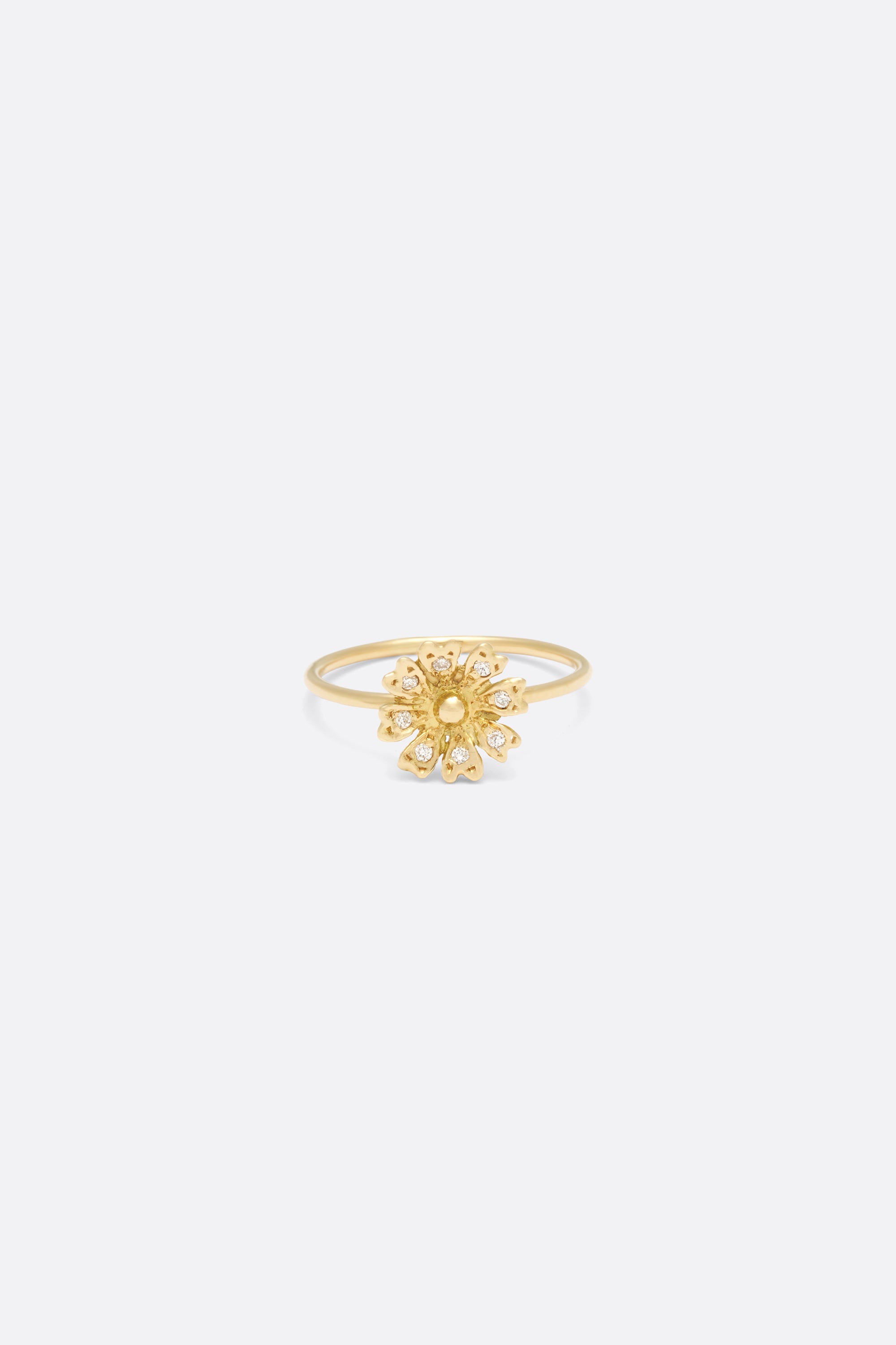 Louiza - Monsieur Paris