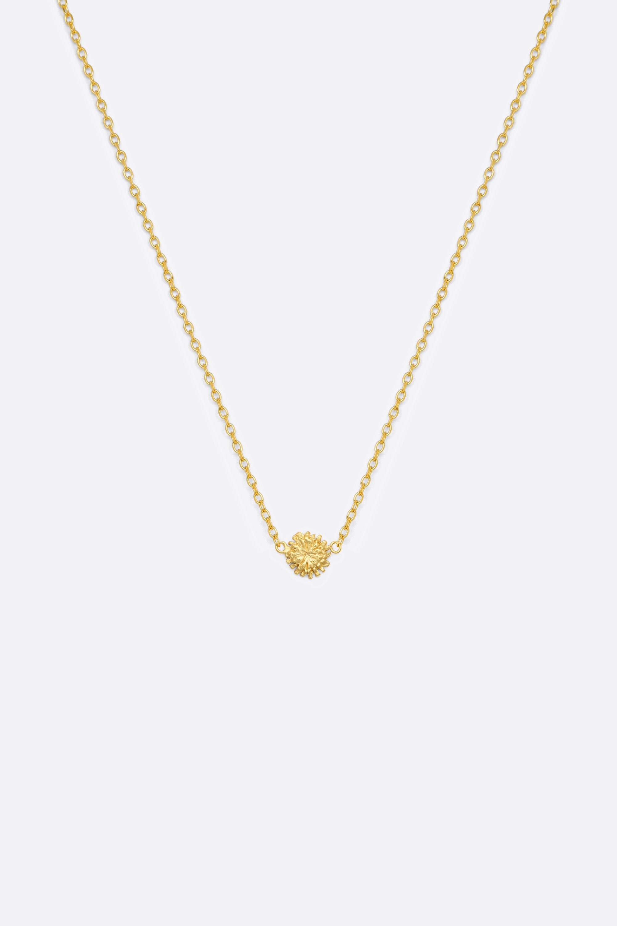 Tournesol - Monsieur Paris