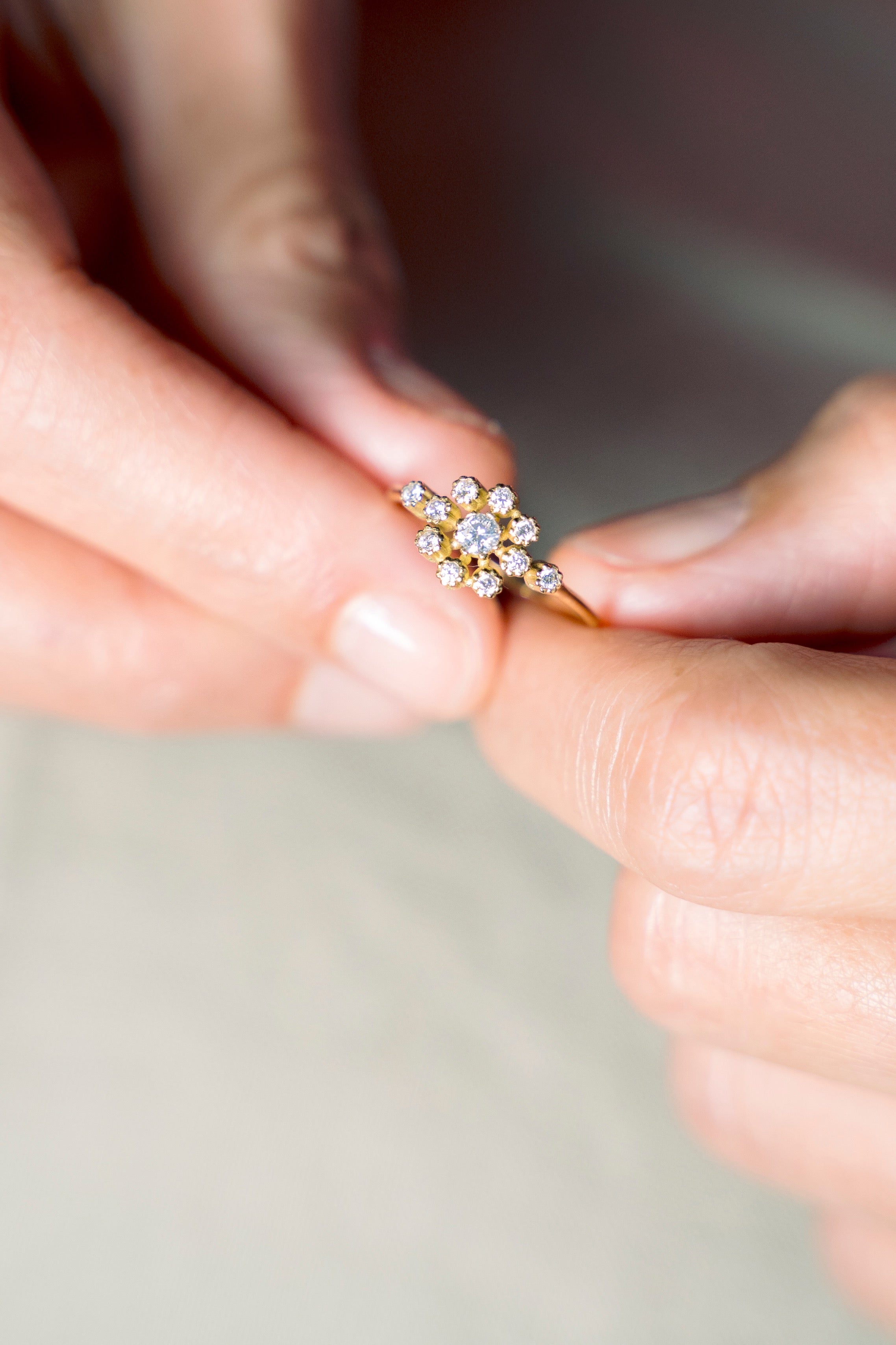 Brune - Monsieur Paris