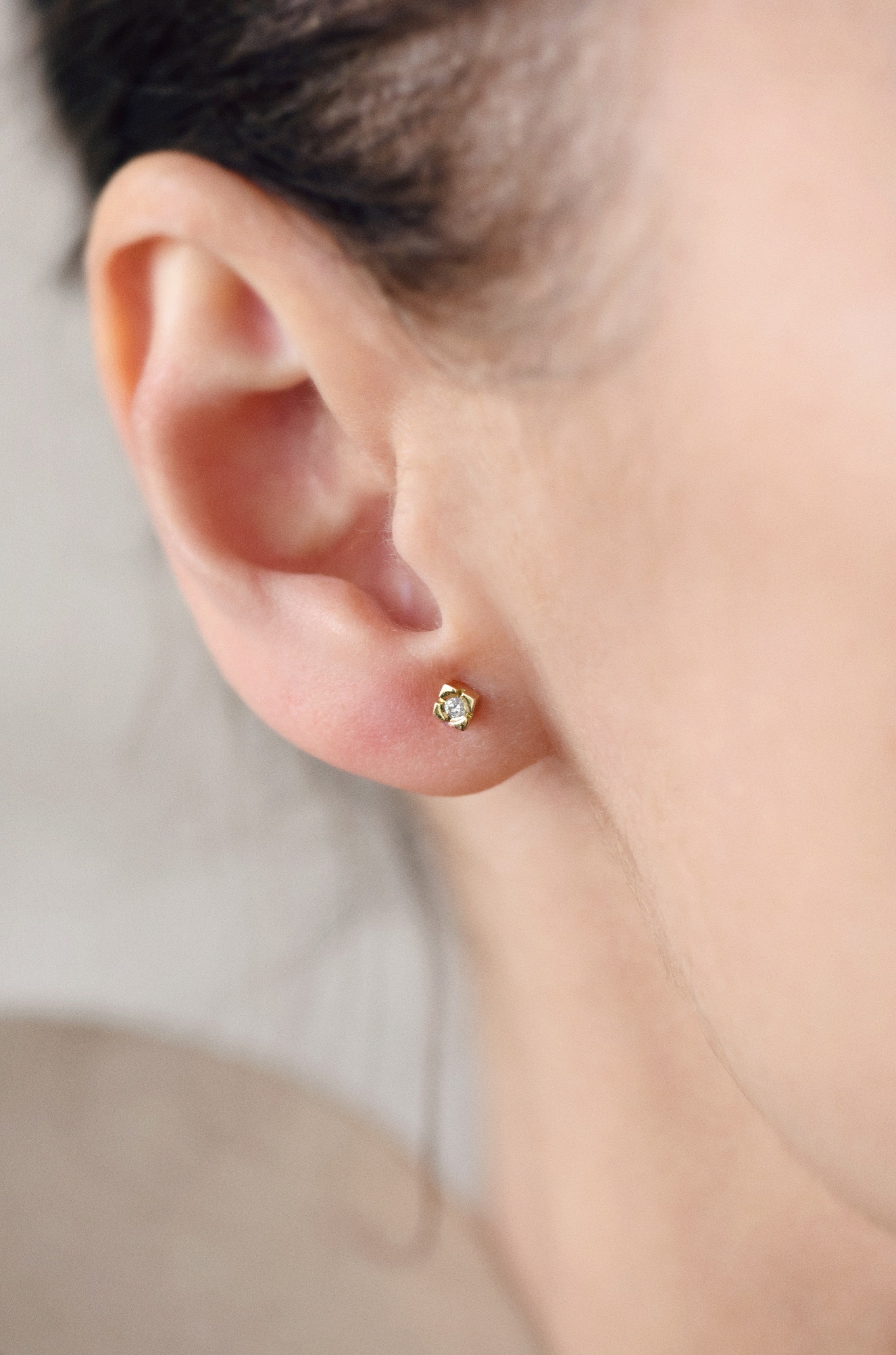 Adonis - Monsieur Paris