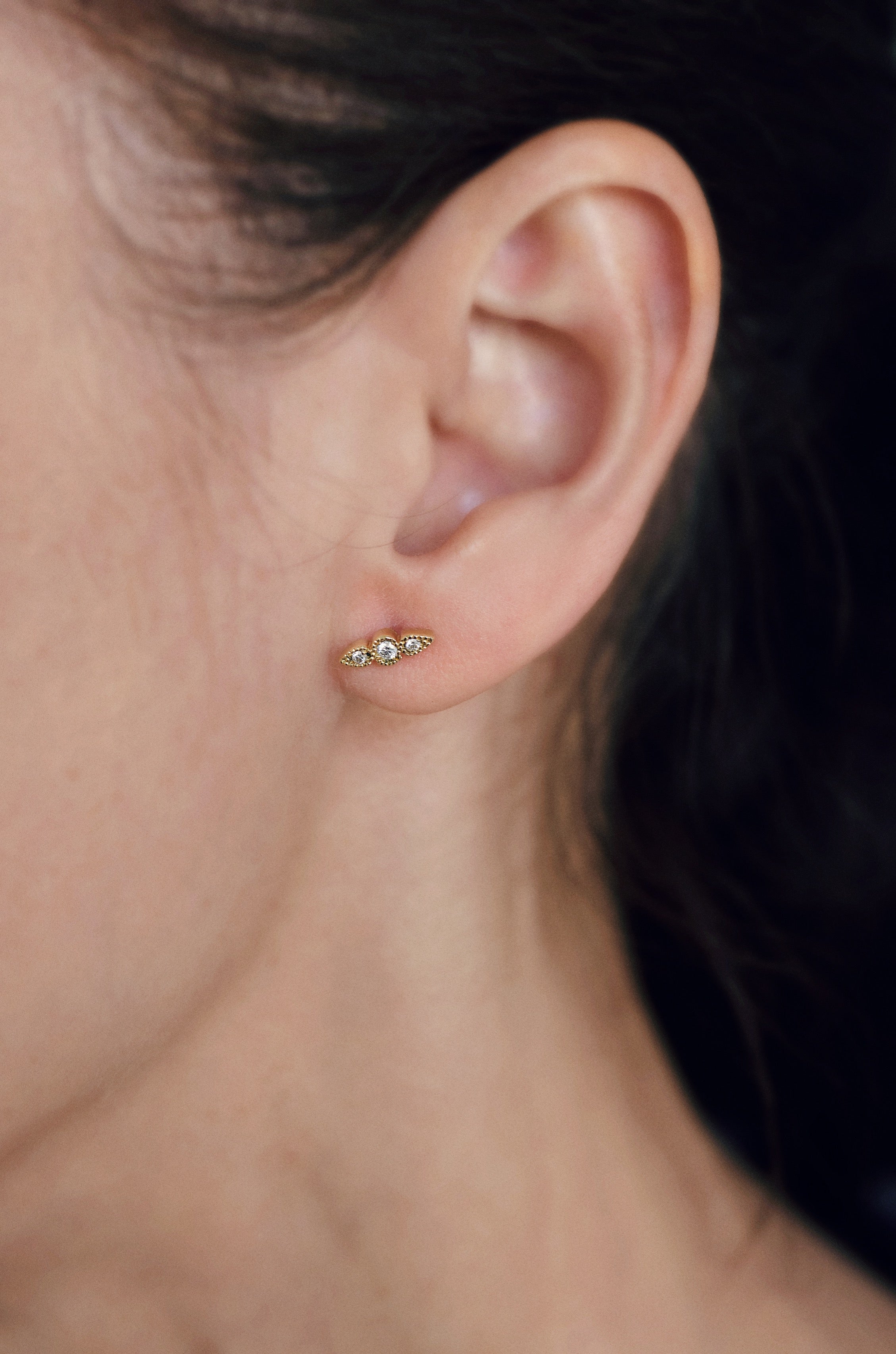 Auxane - Monsieur Paris