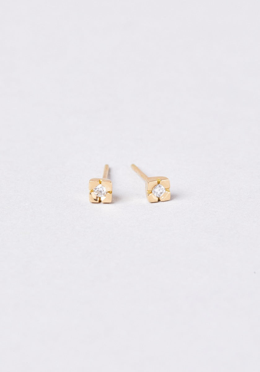 Adonis - Monsieur Paris