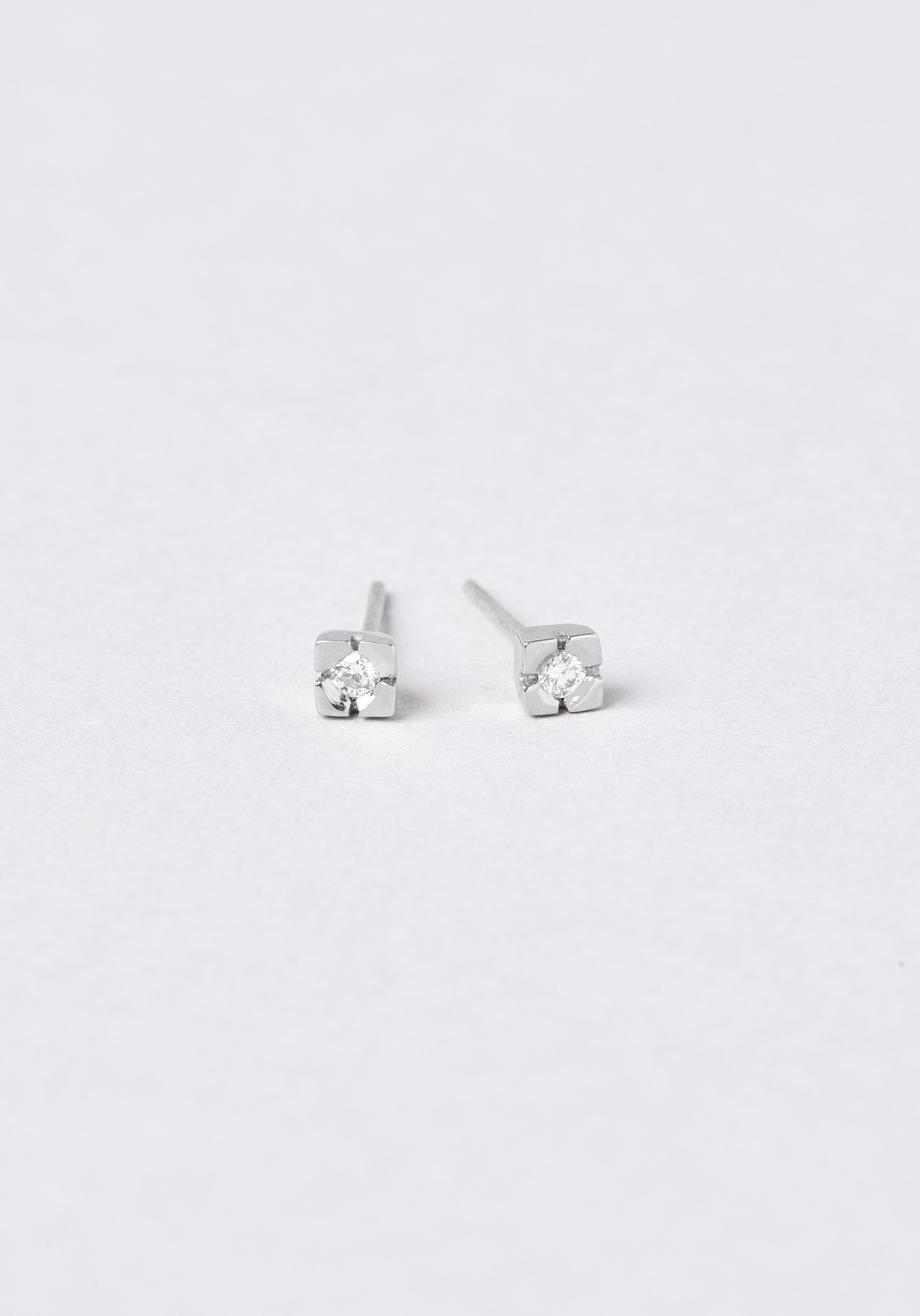 Adonis - Monsieur Paris