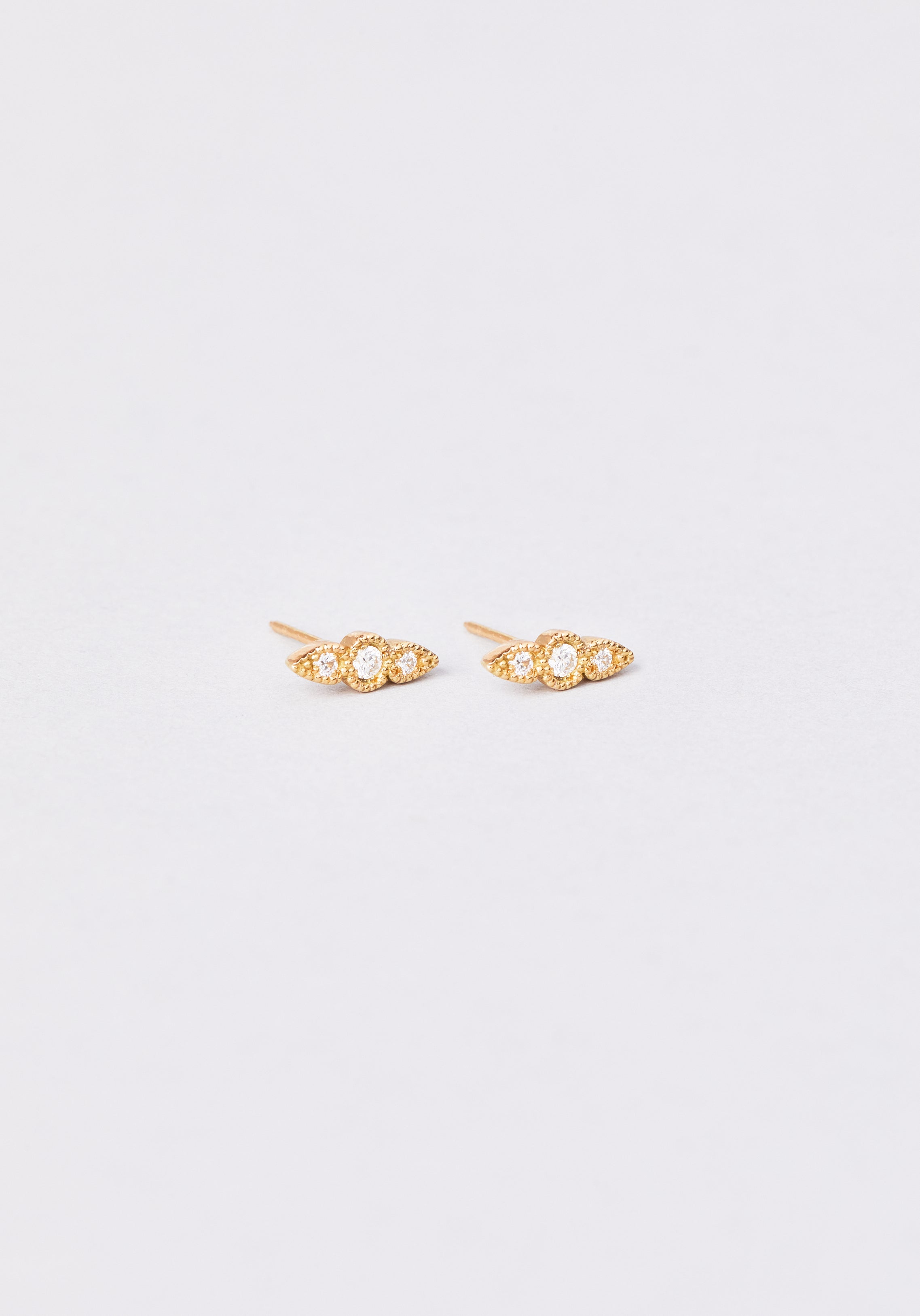 Auxane - Monsieur Paris