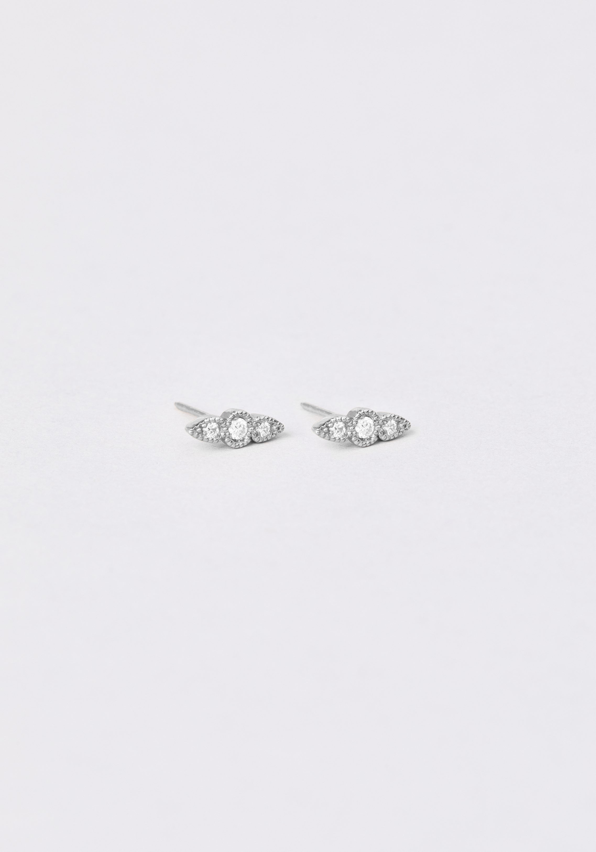 Auxane - Monsieur Paris