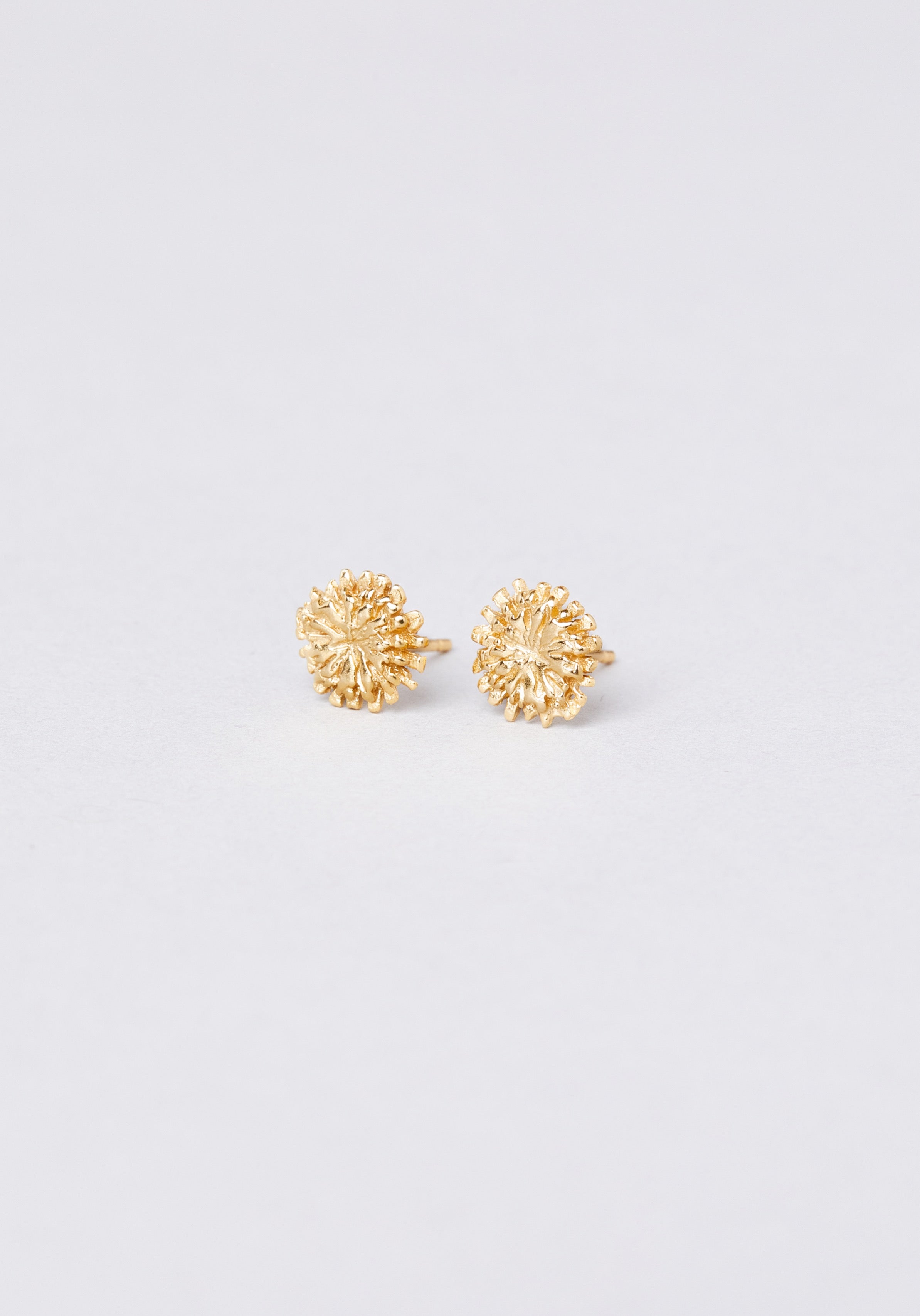 Tournesol - Monsieur Paris